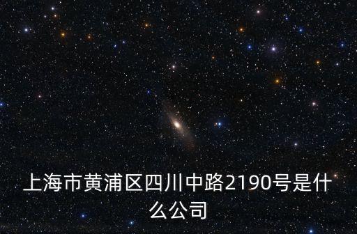 上海市黃浦區四川中路2190號是什么公司