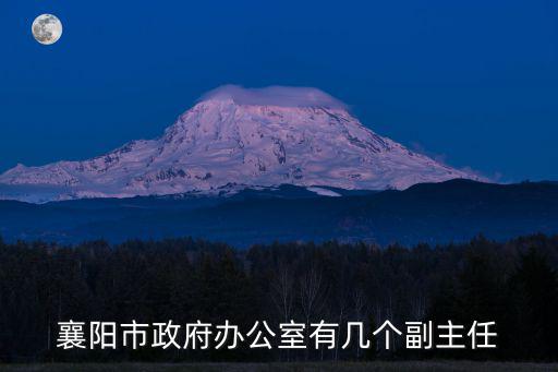 襄陽市政府辦公室有幾個副主任