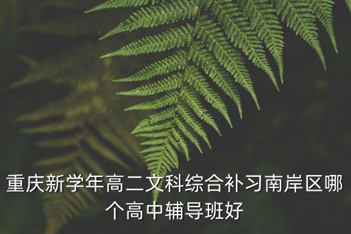 重慶新學年高二文科綜合補習南岸區哪個高中輔導班好