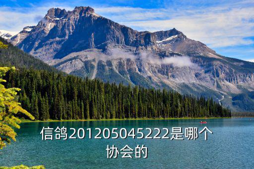 信鴿201205045222是哪個協會的
