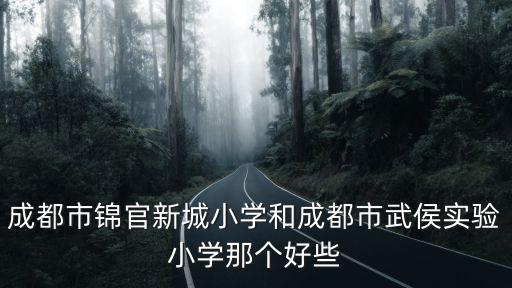 成都市錦官新城小學和成都市武侯實驗小學那個好些