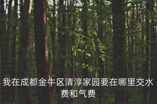 我在成都金牛區清淳家園要在哪里交水費和氣費