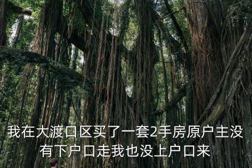 我在大渡口區買了一套2手房原戶主沒有下戶口走我也沒上戶口來