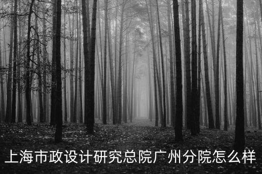 上海市政設計研究總院廣州分院怎么樣