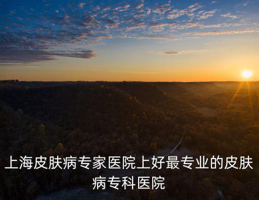 上海皮膚病專家醫院上好最專業的皮膚病?？漆t院