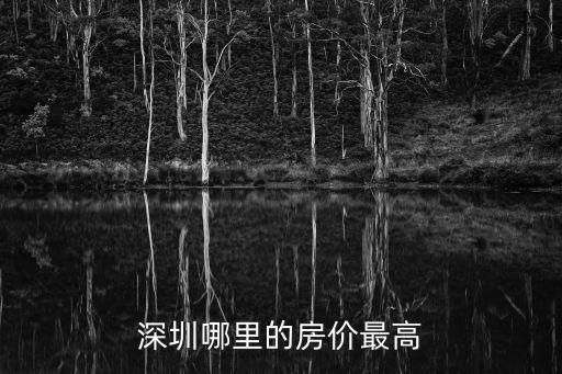 深圳房價(jià)哪個(gè)項(xiàng)目最貴，深圳哪里的房價(jià)最高