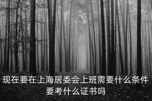 現在要在上海居委會上班需要什么條件要考什么證書嗎