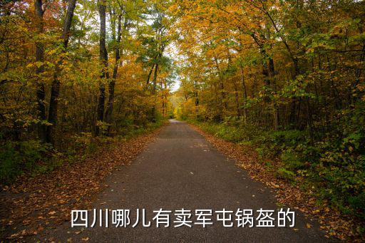 四川哪兒有賣軍屯鍋盔的