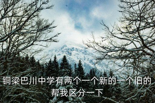 重慶市巴川中學初中名單，重慶巴川中學2012中考上銅中有多少人呀