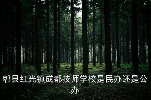 郫縣紅光鎮成都技師學校是民辦還是公辦