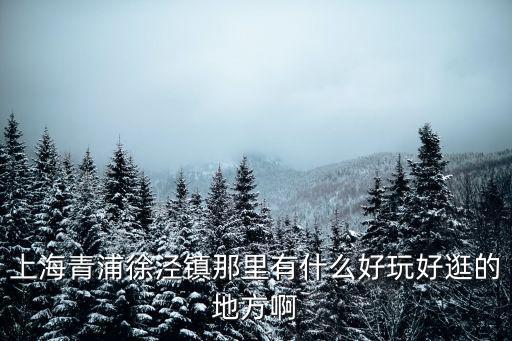 上海青浦徐涇鎮(zhèn)那里有什么好玩好逛的地方啊