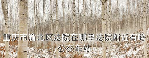 重慶市北碚區(qū)法院在哪里，重慶市第一中級(jí)人民法院地址在那里