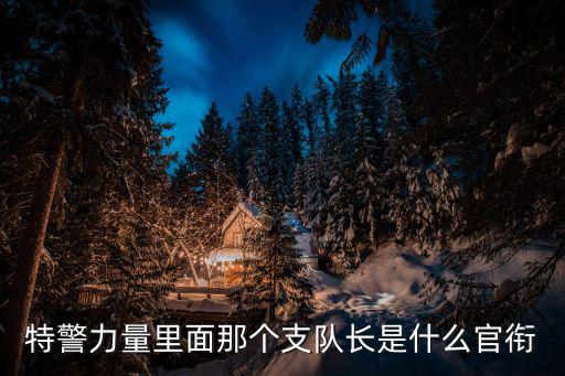 特警力量里面那個支隊長是什么官銜