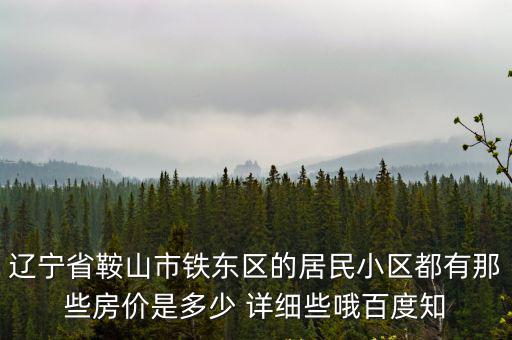 遼寧省鞍山市鐵東區(qū)的居民小區(qū)都有那些房?jī)r(jià)是多少 詳細(xì)些哦百度知