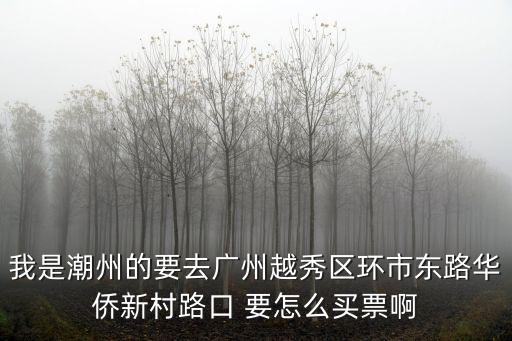 我是潮州的要去廣州越秀區環市東路華僑新村路口 要怎么買票啊