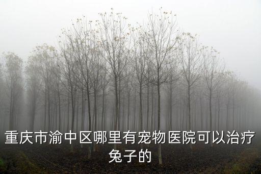 重慶市渝中區哪里有寵物醫院可以治療兔子的