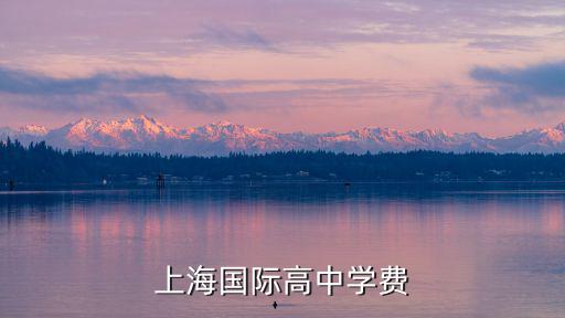 上海國際高中學(xué)費(fèi)