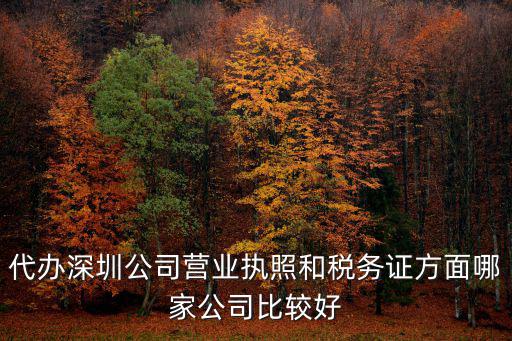 代辦深圳公司營業執照和稅務證方面哪家公司比較好