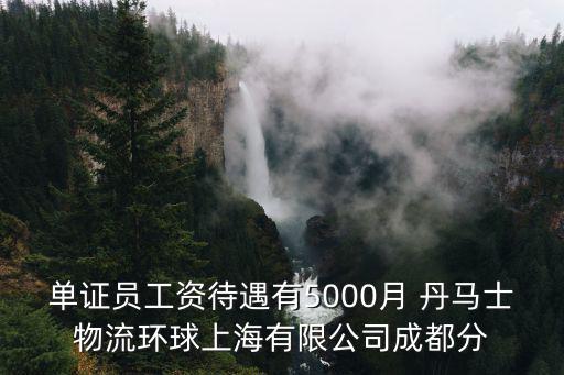 單證員工資待遇有5000月 丹馬士物流環球上海有限公司成都分