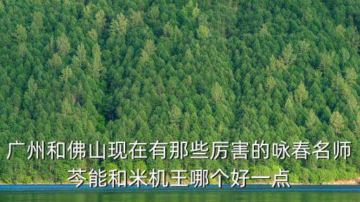 廣州蚩誄倒芩有現場照相嗎，廣州岑能詠春好嗎