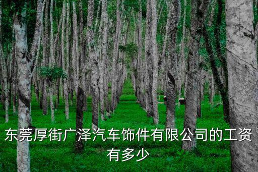 東莞厚街廣澤汽車飾件有限公司的工資有多少