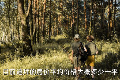 目前迪拜的房價平均價格大概多少一平