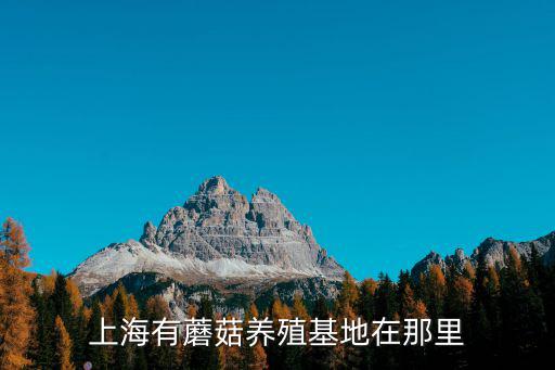 上海有蘑菇養殖基地在那里