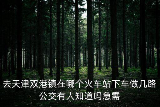 去天津雙港鎮(zhèn)在哪個(gè)火車站下車做幾路公交有人知道嗎急需