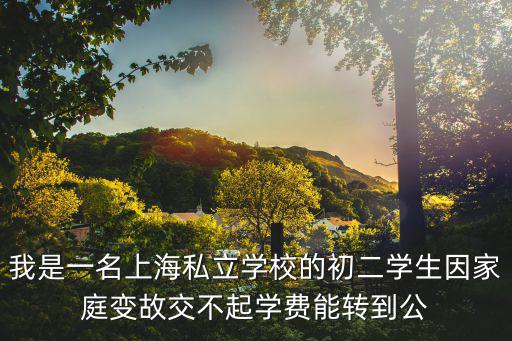 上海文來高中2022學費，上海市文來中學和閔行中學哪個好
