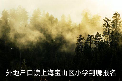 外地戶口讀上海寶山區小學到哪報名