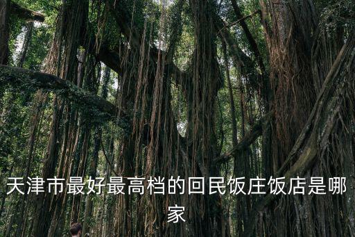 天津市最好最高檔的回民飯莊飯店是哪家