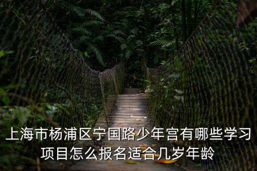 上海市楊浦區寧國路少年宮有哪些學習項目怎么報名適合幾歲年齡