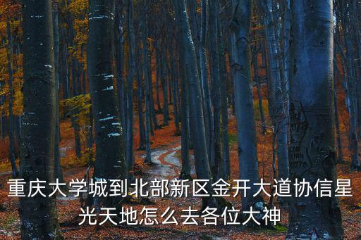 重慶市大學(xué)城協(xié)信星光天地，重慶大學(xué)城到北部新區(qū)金開大道協(xié)信星光天地怎么去各位大神
