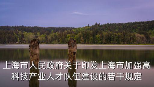 上海市人民政府關(guān)于印發(fā)上海市加強高科技產(chǎn)業(yè)人才隊伍建設的若干規(guī)定