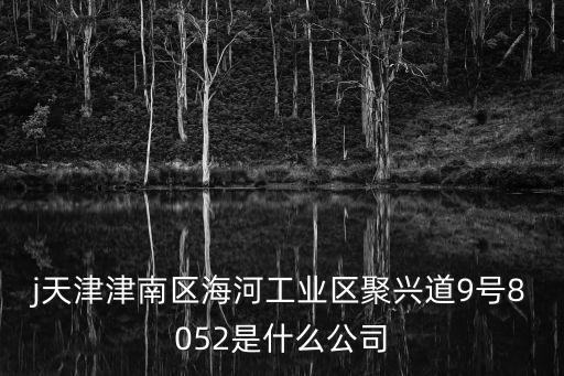 j天津津南區海河工業區聚興道9號8052是什么公司