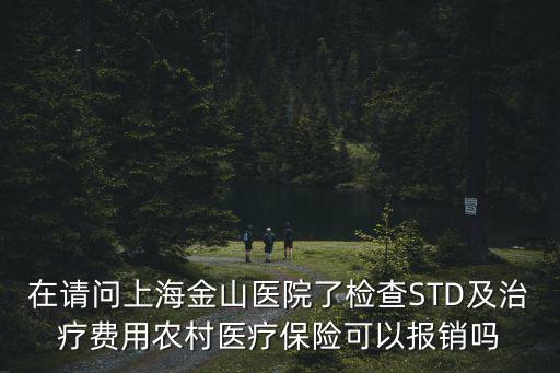 在請問上海金山醫院了檢查STD及治療費用農村醫療保險可以報銷嗎