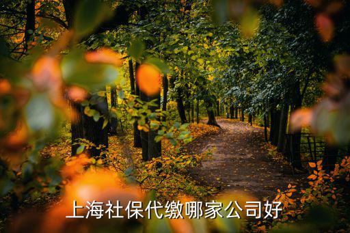 上海代繳五險一金的公司，上海社保代繳公司有哪些
