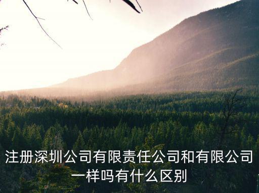 深圳企業向政府申請口罩，注冊深圳公司有限責任公司和有限公司一樣嗎有什么區別