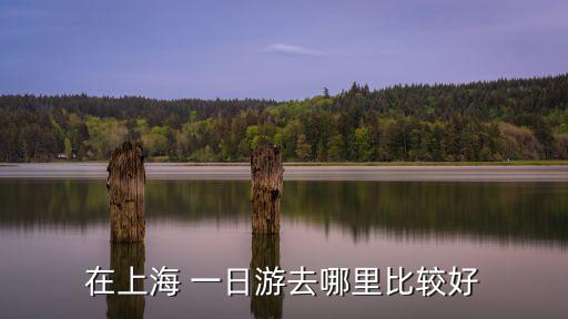 在上海 一日游去哪里比較好
