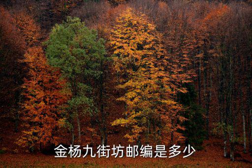 金楊九街坊郵編是多少