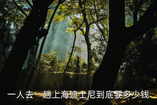 上海迪士尼年卡價(jià)格，迪斯尼英語(yǔ)一年的價(jià)格是多少兩萬(wàn)元夠嗎