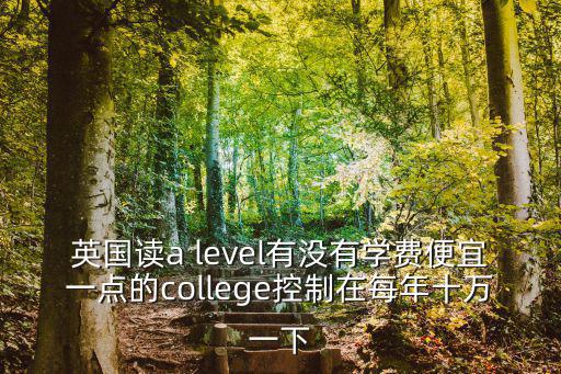 英國讀a level有沒有學(xué)費(fèi)便宜一點(diǎn)的college控制在每年十萬一下