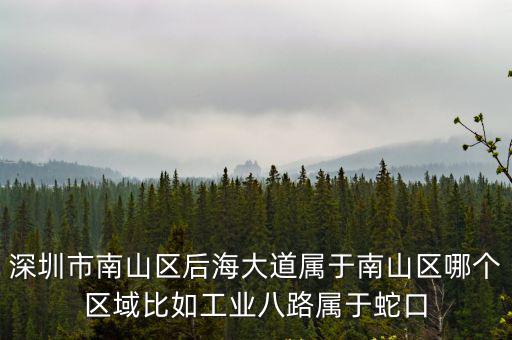 深圳市后海社區書記，深圳市南山區后海大道屬于南山區哪個區域比如工業八路屬于蛇口