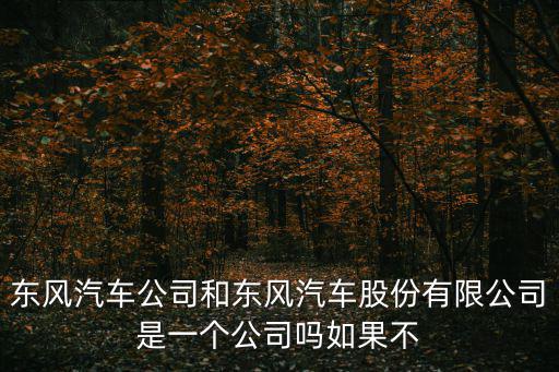 東風汽車公司和東風汽車股份有限公司是一個公司嗎如果不