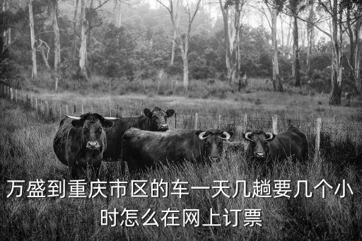萬盛到重慶市區的車一天幾趟要幾個小時怎么在網上訂票