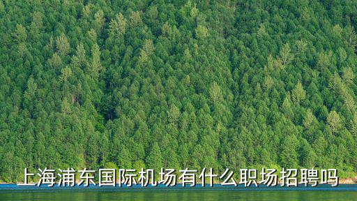 上海浦東國(guó)際機(jī)場(chǎng)有什么職場(chǎng)招聘嗎