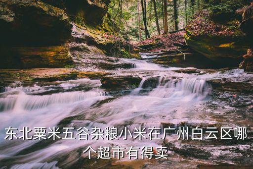 廣州東北人粗糧，東北都生產哪些粗糧