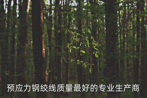 成都市鋼絞線錨具生產廠家，四川生產鋼絞線的廠家有哪些