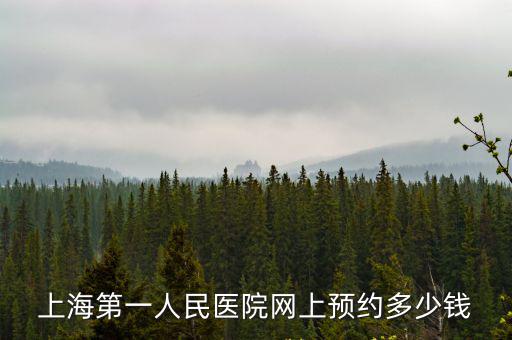 上海第一人民醫院北院預約掛號，上海第一人民醫院