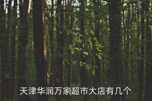 天津華潤萬家超市大店有幾個